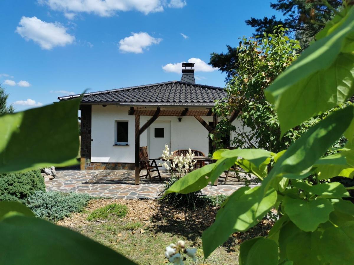 Ferienhaus Hase Bomsdorfer Hof 格雷芬海尼兴 外观 照片